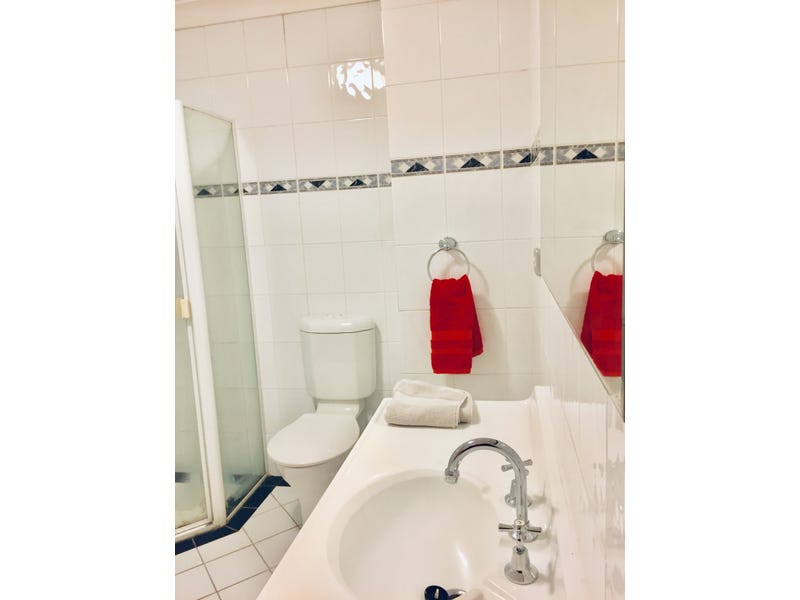 Spacious large Quiet Sunny Penthouse 9