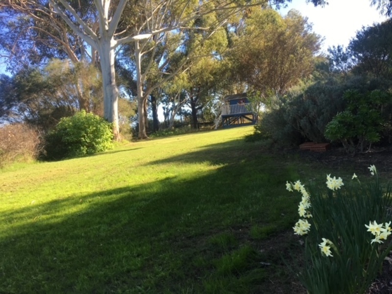 Paradise in the country 23