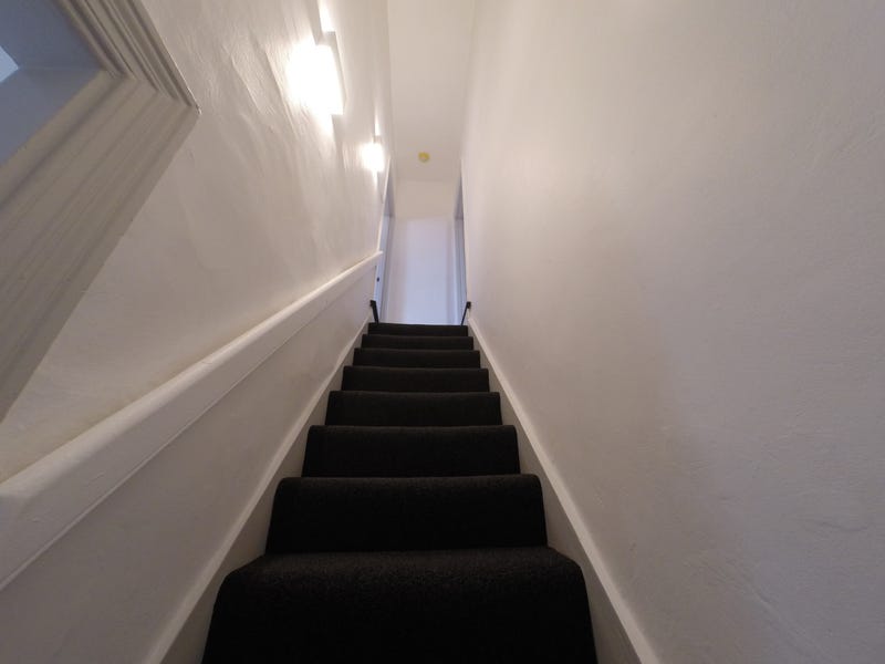 Newly renovated inner city gem 7