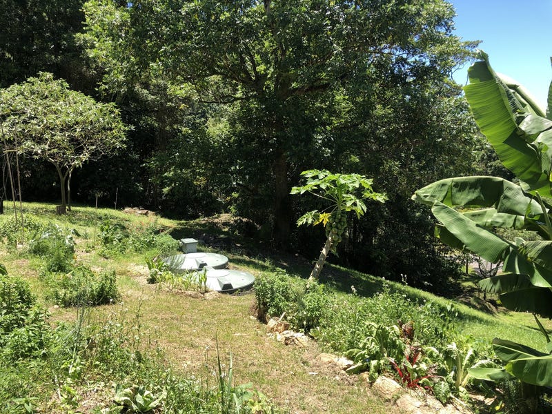 Currumbin Valley Acerage 7