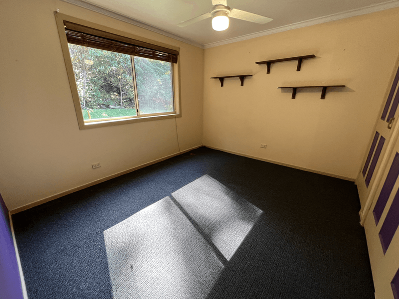 Currumbin Valley Acerage 17