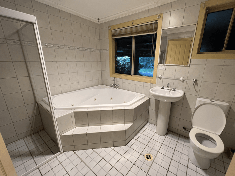 Currumbin Valley Acerage 19