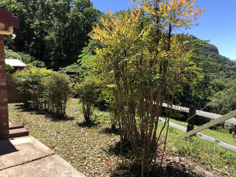 Currumbin Valley Acerage 20