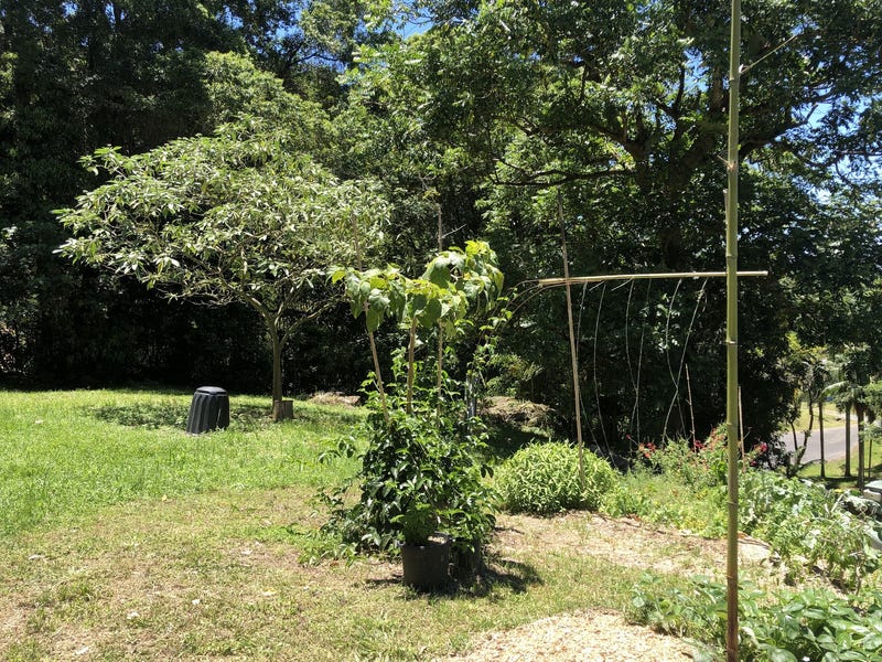 Currumbin Valley Acerage 21