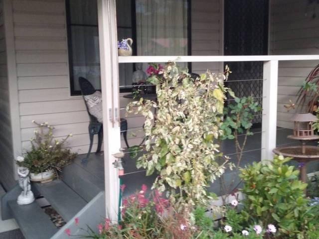 Immaculate Home 5