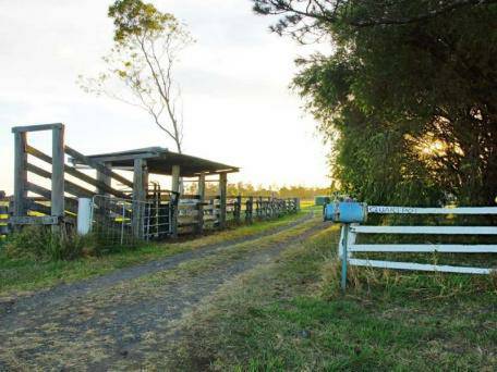 Farm House on 100 Acres 3
