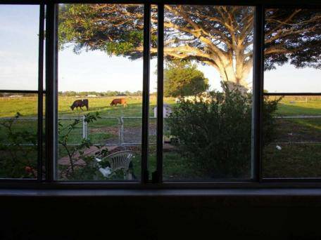 Farm House on 100 Acres 4