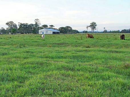 Farm House on 100 Acres 5