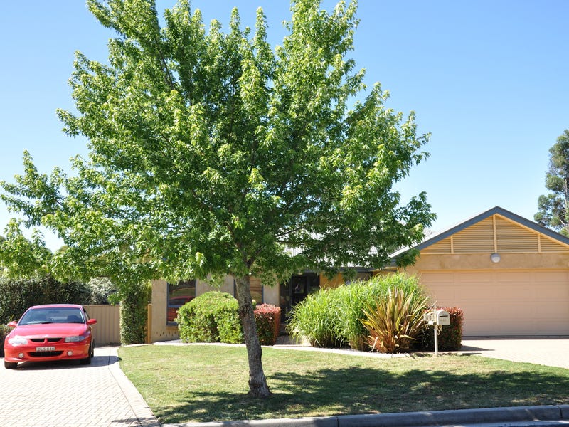 Fantastic yard plus self-contained studio/mancave 2