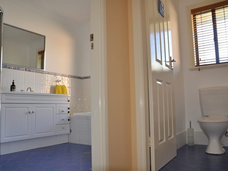 Fantastic yard plus self-contained studio/mancave 15