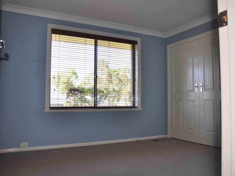 Fantastic yard plus self-contained studio/mancave 16