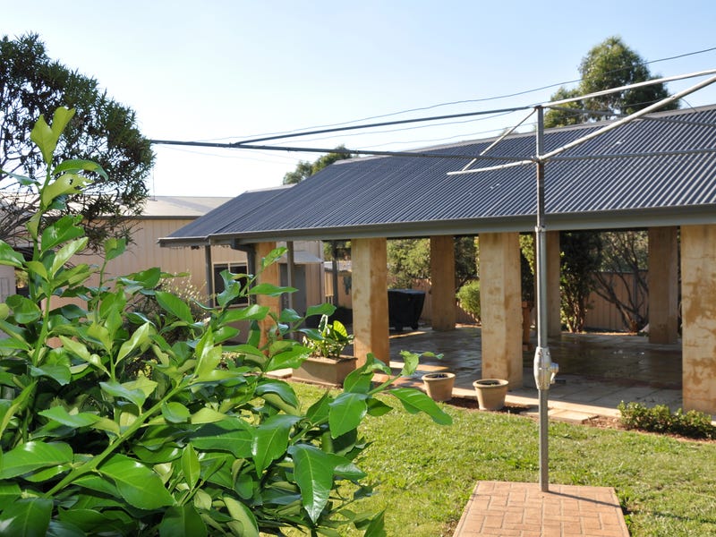 Fantastic yard plus self-contained studio/mancave 21
