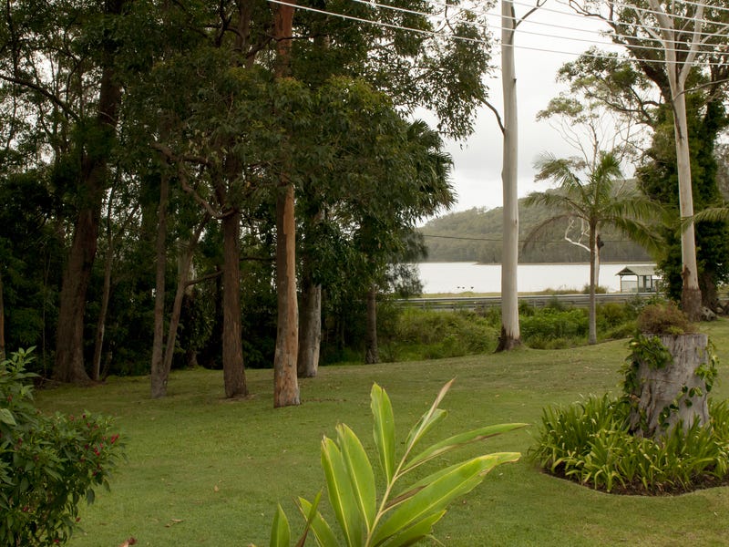 Views Views Views
