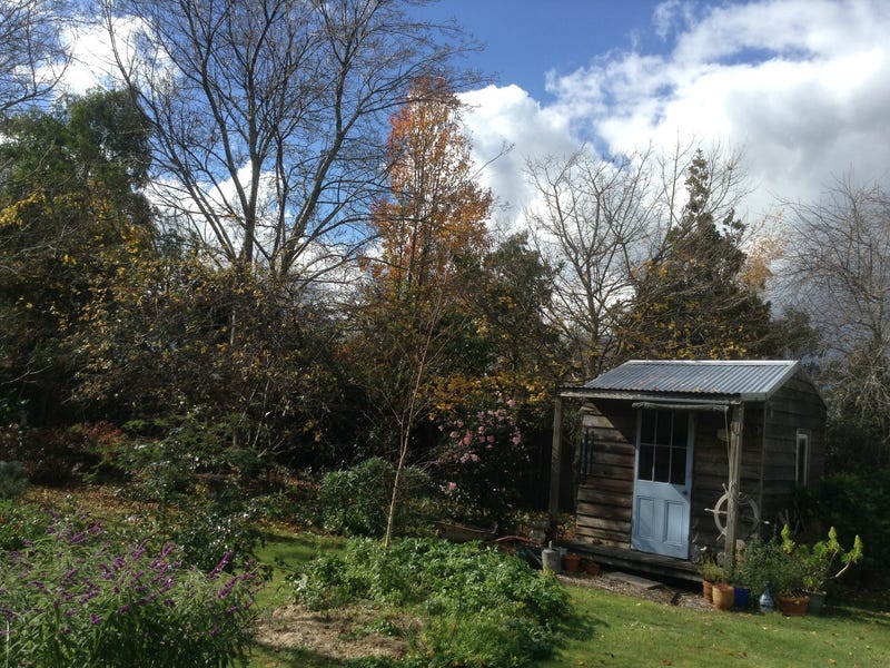 Weatherboard cottage 14