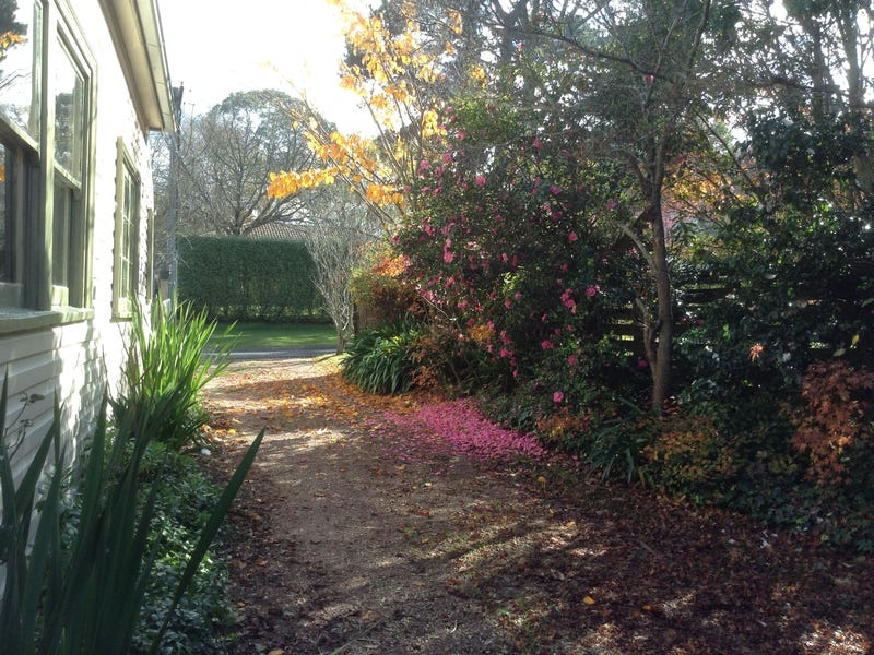 Weatherboard cottage 15