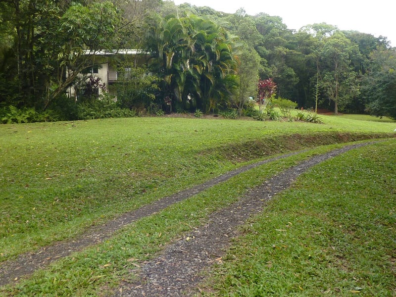 Acreage in rainforest setting 5