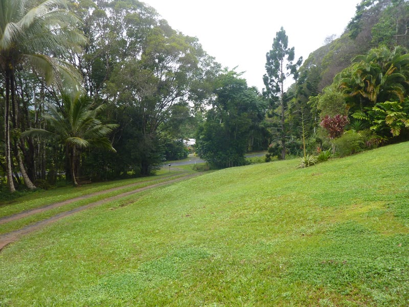 Acreage in rainforest setting 6