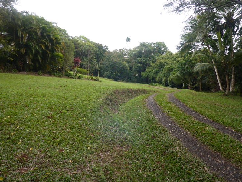 Acreage in rainforest setting 7