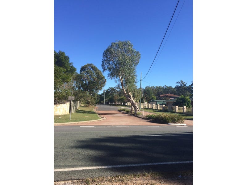 7 Belvedere Drive Park Ridge 3