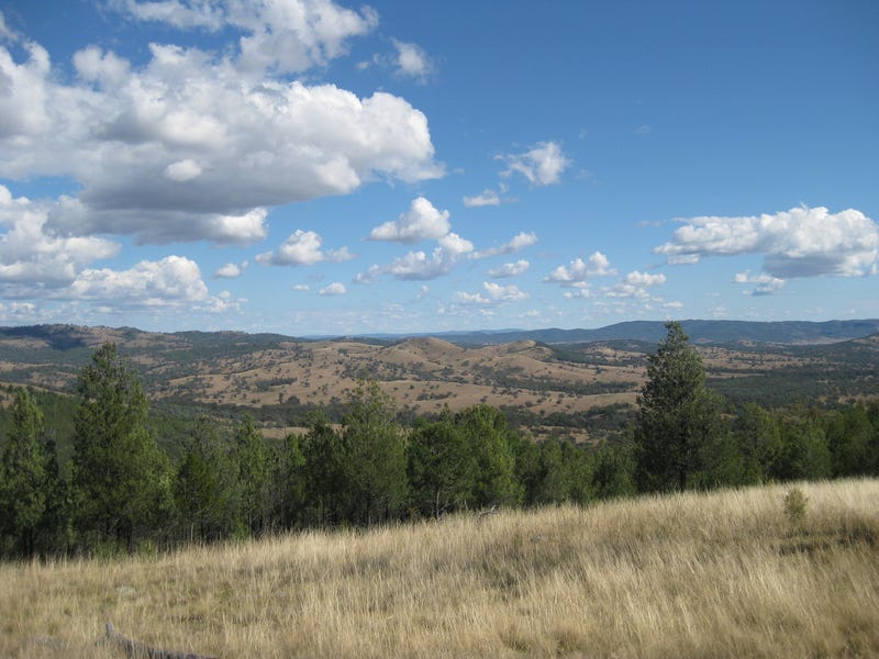 Maid’s Creek 3