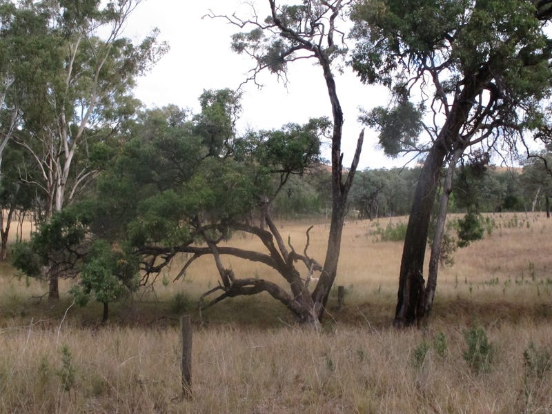 Maid’s Creek 4