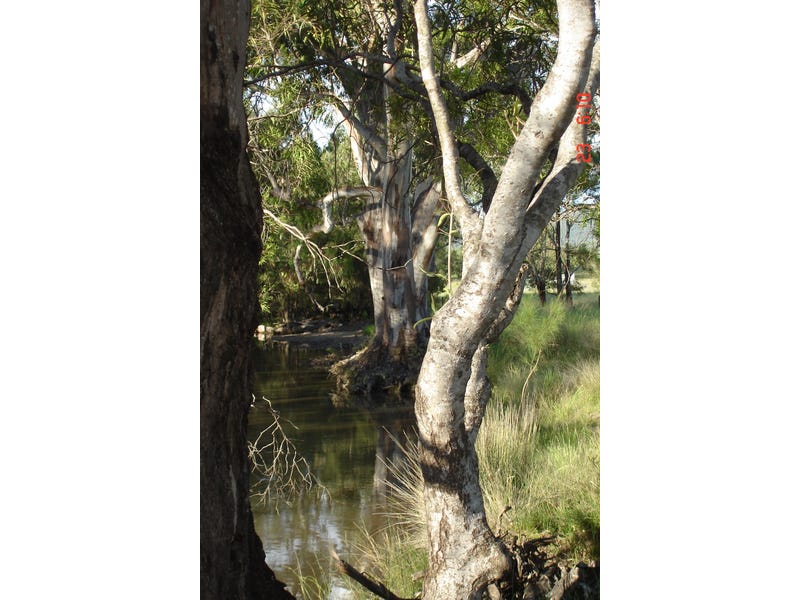 Maid’s Creek 7