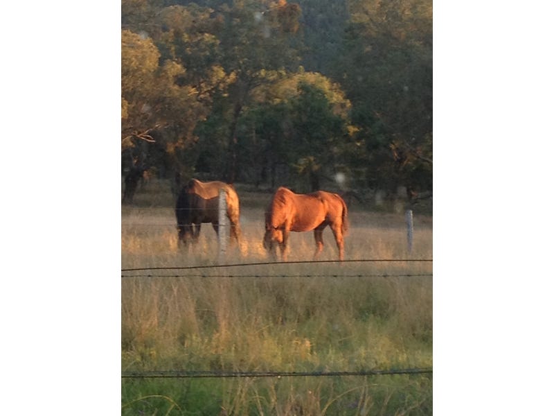 Maid’s Creek 35