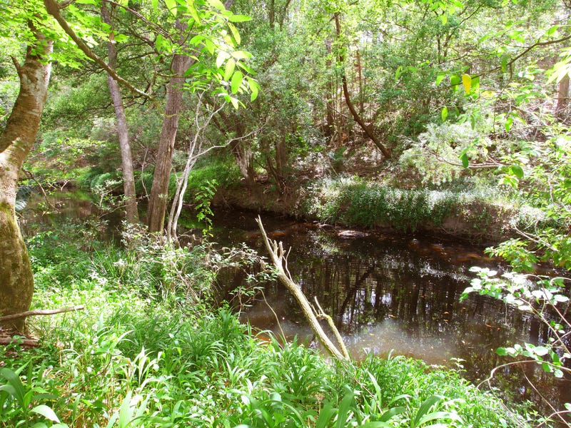 Large modern Gold Coast hinterland 9
