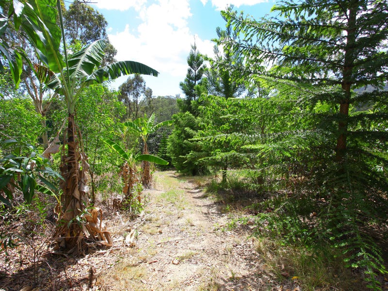 Large modern Gold Coast hinterland 16