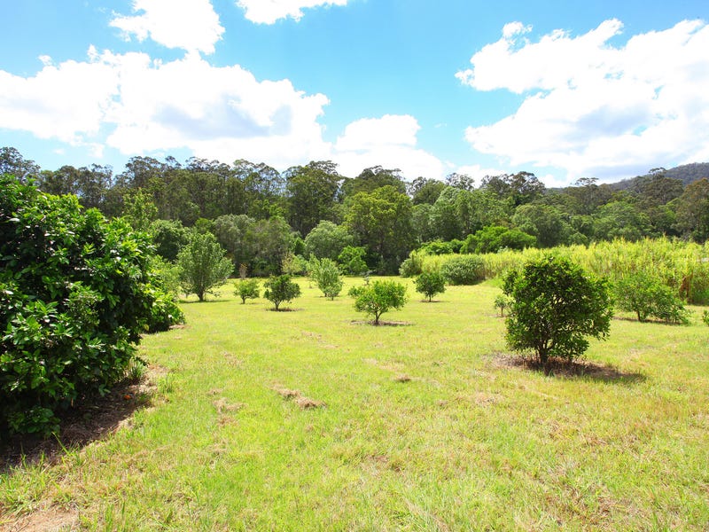 Large modern Gold Coast hinterland 17