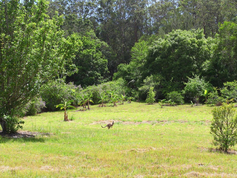 Large modern Gold Coast hinterland 18