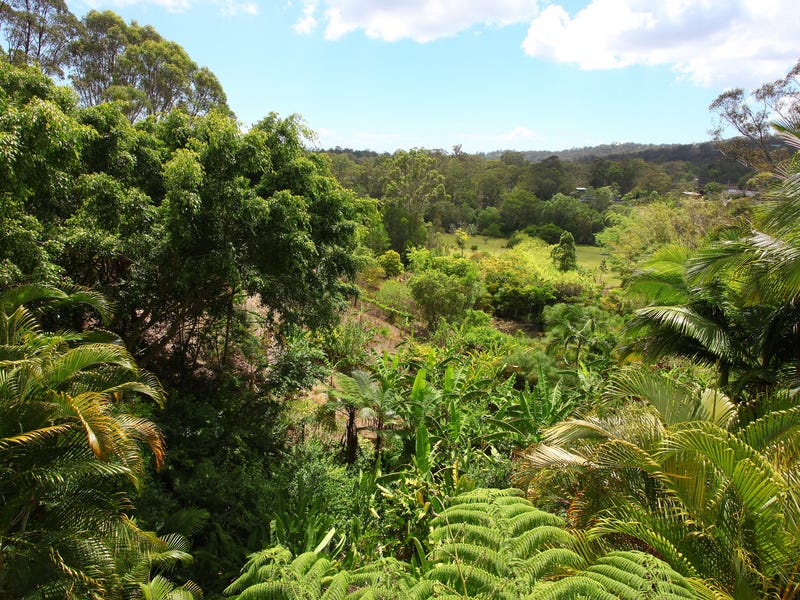 Large modern Gold Coast hinterland 19