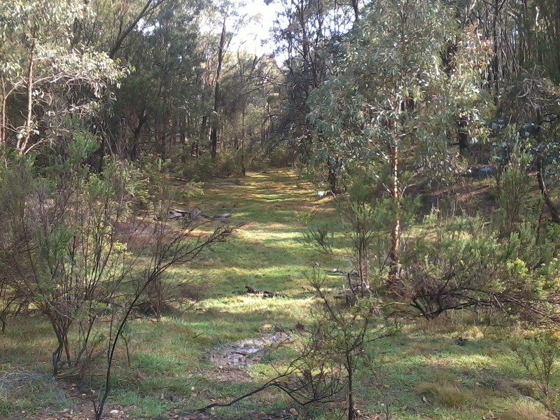 Dream Garden: Location, self sufficiency 7