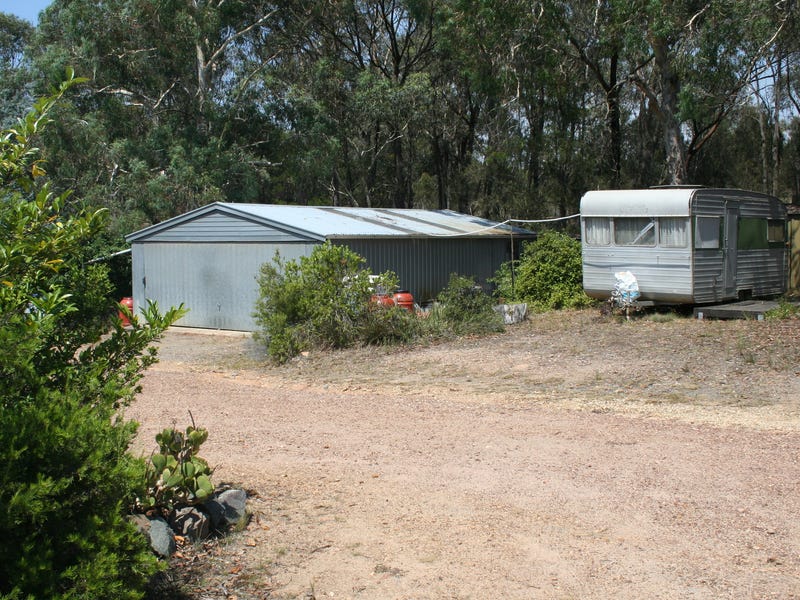 Dream Garden: Location, self sufficiency 18