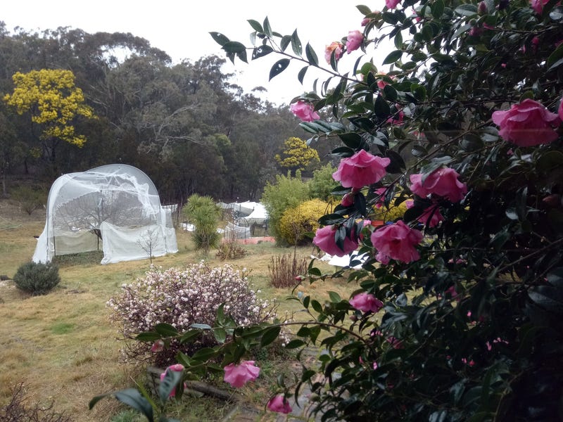 Dream Garden: Location, self sufficiency 20