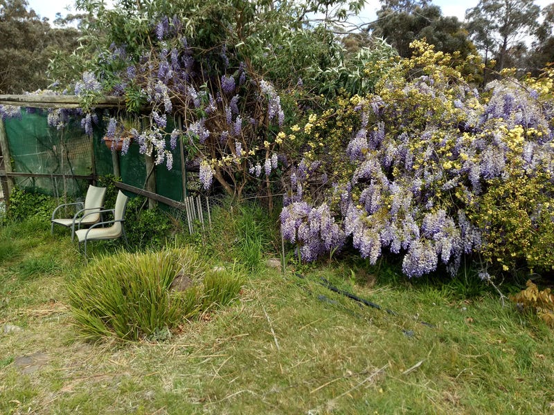 Dream Garden: Location, self sufficiency 22