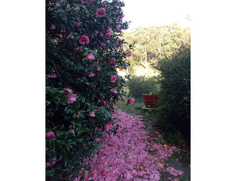Dream Garden: Location, self sufficiency 23