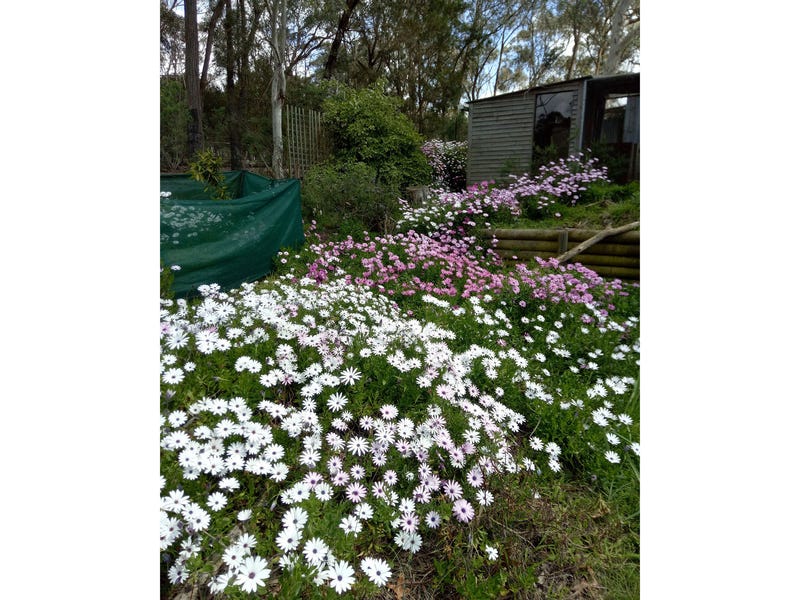 Dream Garden: Location, self sufficiency 24