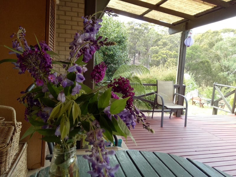 Dream Garden: Location, self sufficiency 25
