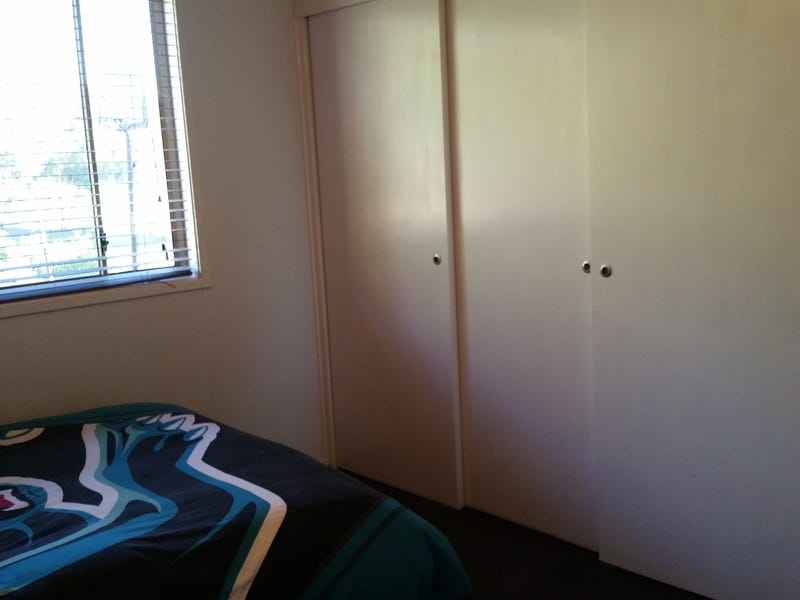 House, Acreage, Sheds, Motorbike track, 14