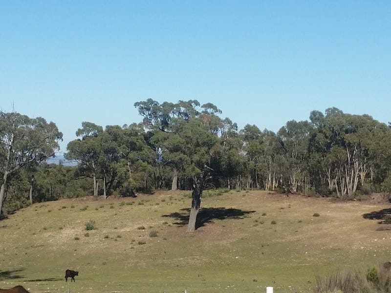 House, Acreage, Sheds, Motorbike track, 35