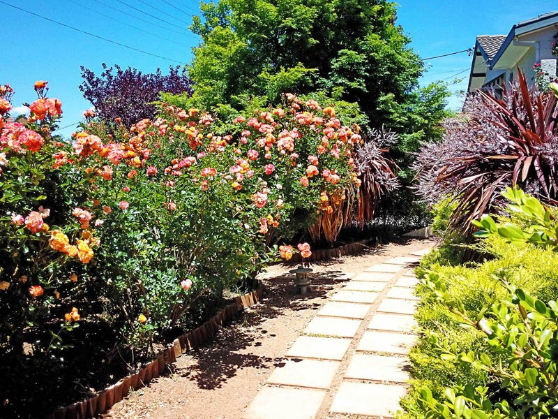 Great Home, Great Location for 3
