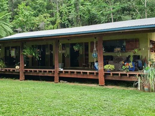 Secluded hideaway in the rainforest with ocean views. Established Miracle Fruit orchard, (income potential) and only 15 mins from Mission Beach