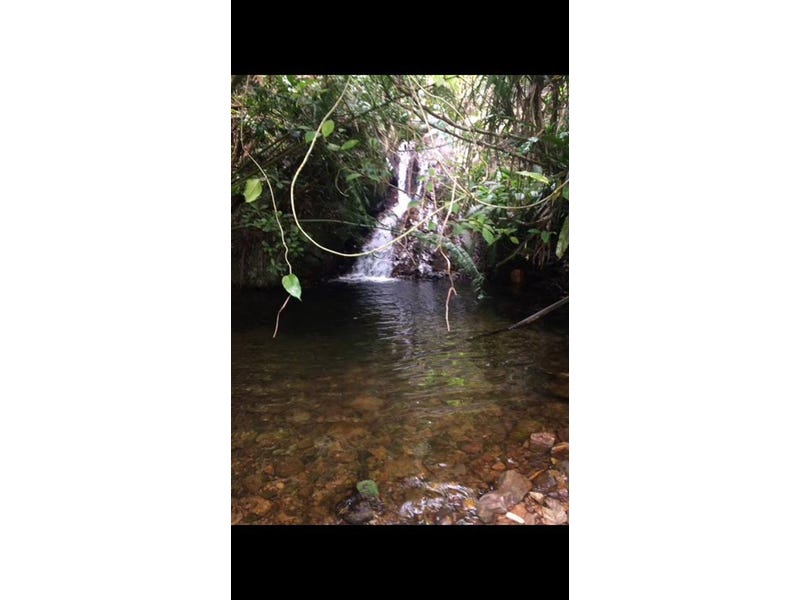 Secluded hideaway in the rainforest 6