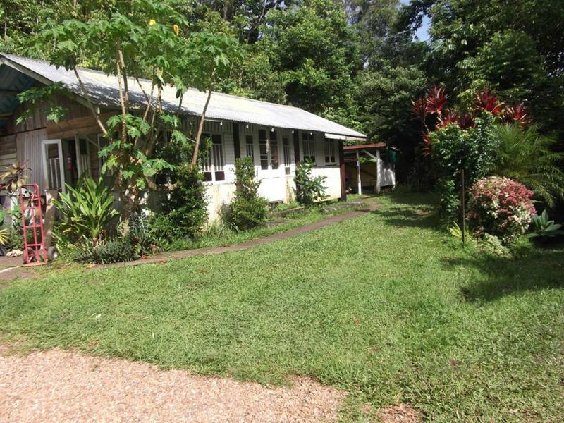 Secluded hideaway in the rainforest 8