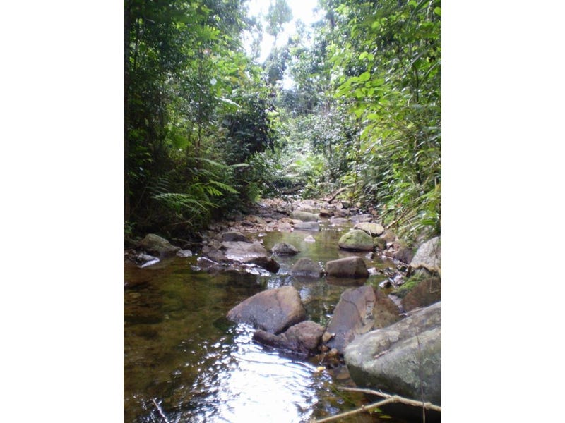 Secluded hideaway in the rainforest 11