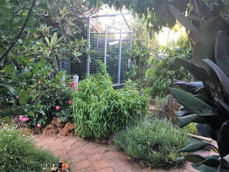 6 Klingberg Street Loxton 28