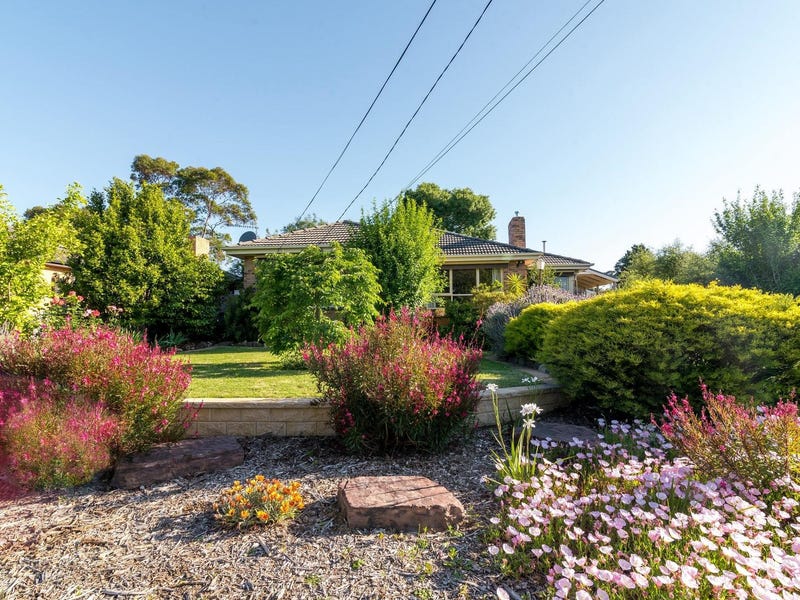 Immaculate Family Home