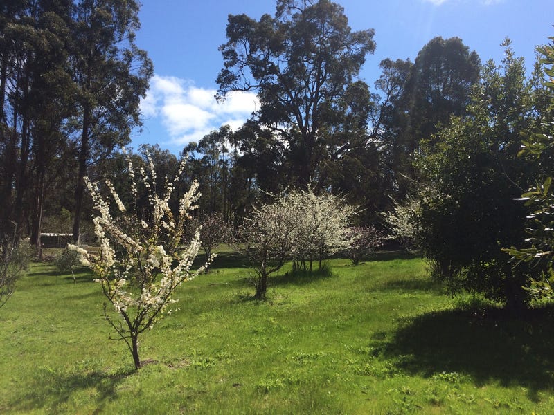 Escape to the Country- Lifestyle 32