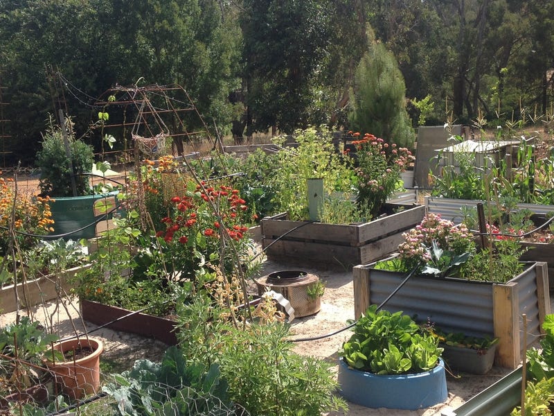 Escape to the Country- Lifestyle 33